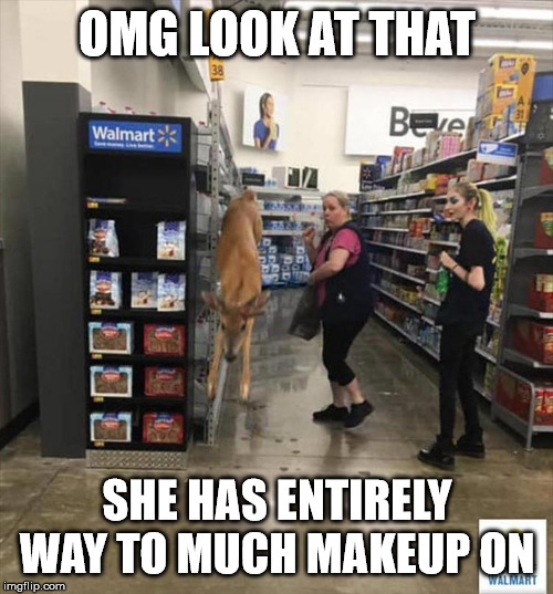 deer | OMG LOOK AT THAT; SHE HAS ENTIRELY WAY TO MUCH MAKEUP ON | image tagged in deer | made w/ Imgflip meme maker