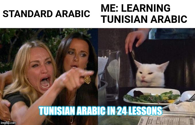 Woman Yelling At Cat Meme | STANDARD ARABIC; ME: LEARNING TUNISIAN ARABIC; TUNISIAN ARABIC IN 24 LESSONS | image tagged in memes,woman yelling at a cat | made w/ Imgflip meme maker