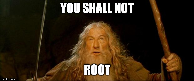 gandalf you shall not pass | YOU SHALL NOT; ROOT | image tagged in gandalf you shall not pass | made w/ Imgflip meme maker