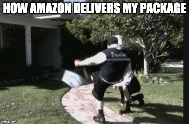 HOW AMAZON DELIVERS MY PACKAGE | image tagged in delivery,amazon,package,meme | made w/ Imgflip meme maker