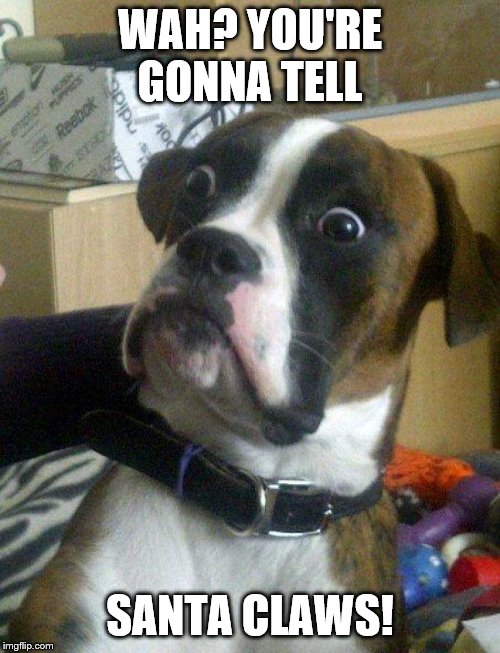 Blankie the confused shocked Dog | WAH? YOU'RE GONNA TELL; SANTA CLAWS! | image tagged in blankie the shocked dog,blankie the confused shocked dog,memes,funny memes | made w/ Imgflip meme maker