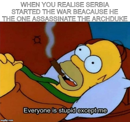 Everyone is stupid except me | WHEN YOU REALISE SERBIA STARTED THE WAR BEACAUSE HE THE ONE ASSASSINATE THE ARCHDUKE | image tagged in everyone is stupid except me | made w/ Imgflip meme maker