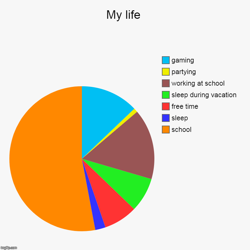My life | school, sleep, free time, sleep during vacation, working at school, partying, gaming | image tagged in charts,pie charts,my life,gaming,fun,politics | made w/ Imgflip chart maker