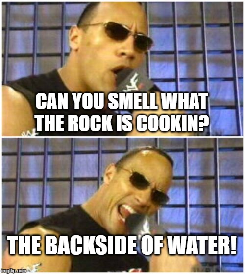 Jungle Cruise, it's a movie now | CAN YOU SMELL WHAT THE ROCK IS COOKIN? THE BACKSIDE OF WATER! | image tagged in memes,the rock it doesnt matter,jungle cruise,backside of water | made w/ Imgflip meme maker