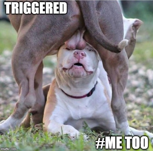 That moment when... | TRIGGERED; #ME TOO | image tagged in alpha dog teabag,memes,funny,oh no,bad day,that moment when | made w/ Imgflip meme maker