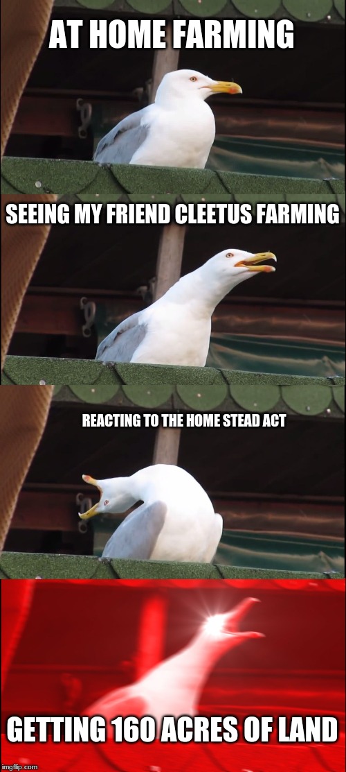 Inhaling Seagull Meme | AT HOME FARMING; SEEING MY FRIEND CLEETUS FARMING; REACTING TO THE HOME STEAD ACT; GETTING 160 ACRES OF LAND | image tagged in memes,inhaling seagull | made w/ Imgflip meme maker