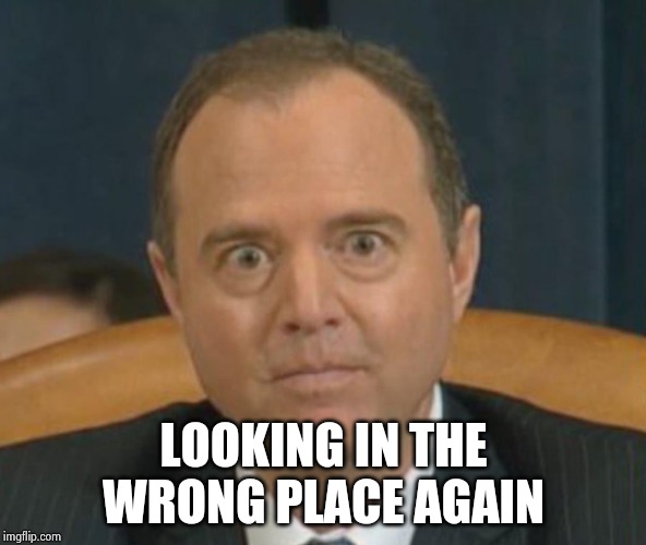 Crazy Adam Schiff | LOOKING IN THE WRONG PLACE AGAIN | image tagged in crazy adam schiff | made w/ Imgflip meme maker