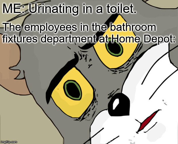 Unsettled Tom Meme | ME: Urinating in a toilet. The employees in the bathroom
fixtures department at Home Depot: | image tagged in memes,unsettled tom | made w/ Imgflip meme maker