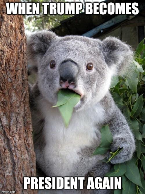 Surprised Koala | WHEN TRUMP BECOMES; PRESIDENT AGAIN | image tagged in memes,surprised koala | made w/ Imgflip meme maker