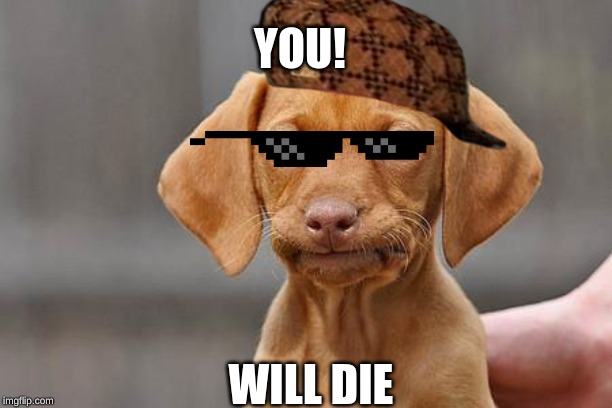 Dissapointed puppy | YOU! WILL DIE | image tagged in dissapointed puppy | made w/ Imgflip meme maker