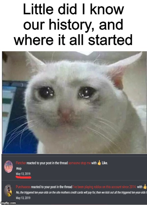 crying cat | Little did I know our history, and where it all started | image tagged in crying cat | made w/ Imgflip meme maker