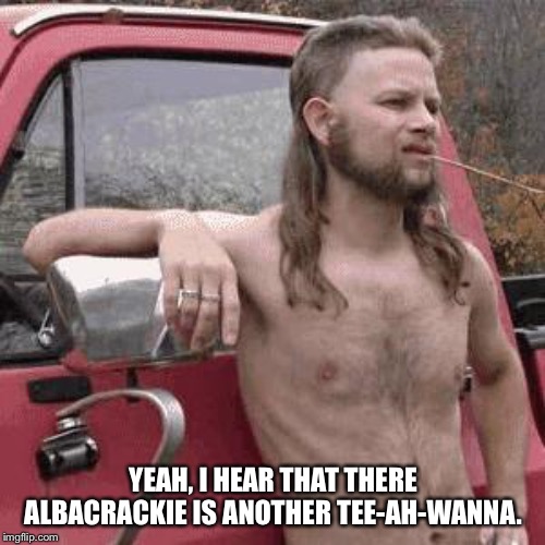 almost redneck | YEAH, I HEAR THAT THERE ALBACRACKIE IS ANOTHER TEE-AH-WANNA. | image tagged in almost redneck | made w/ Imgflip meme maker