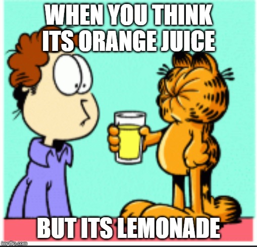 Orange juice and lemonade | WHEN YOU THINK ITS ORANGE JUICE; BUT ITS LEMONADE | image tagged in garfield,fun,funny,lol,lemonade,orange juice | made w/ Imgflip meme maker