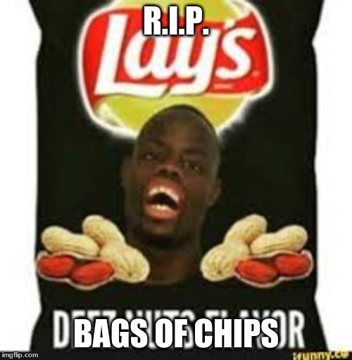 R.I.P. BAGS OF CHIPS | R.I.P. BAGS OF CHIPS | image tagged in deez nuts chips,rip,ugly twins | made w/ Imgflip meme maker