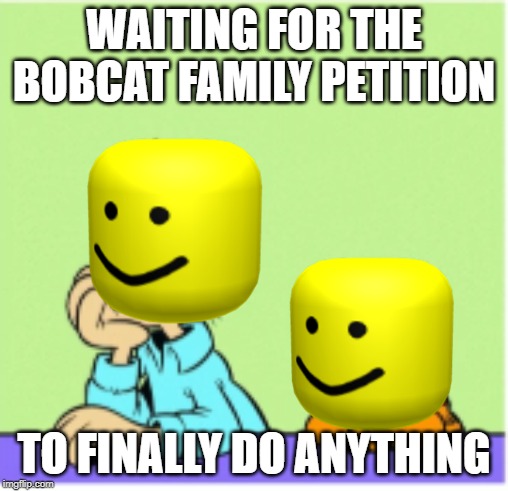 WAITING FOR THE BOBCAT FAMILY PETITION; TO FINALLY DO ANYTHING | made w/ Imgflip meme maker