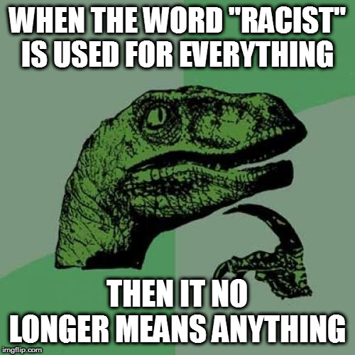 Same for a lot of those -ist words | WHEN THE WORD "RACIST" IS USED FOR EVERYTHING; THEN IT NO LONGER MEANS ANYTHING | image tagged in memes,philosoraptor,politics | made w/ Imgflip meme maker