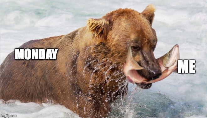 Bear and Salmon as Monday and me | MONDAY; ME | image tagged in bear,salmon,memes,dank memes,funny memes,monday | made w/ Imgflip meme maker