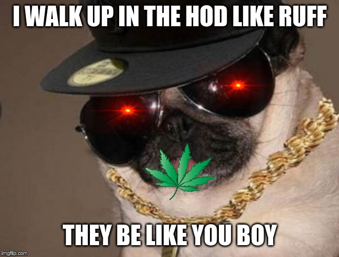 Gangster Pug | I WALK UP IN THE HOD LIKE RUFF; THEY BE LIKE YOU BOY | image tagged in gangster pug | made w/ Imgflip meme maker