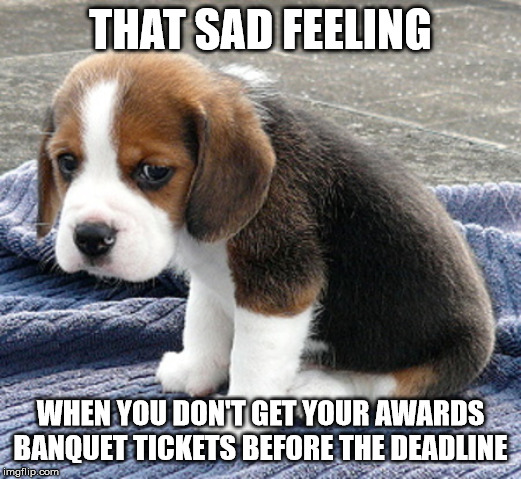 sad dog | THAT SAD FEELING; WHEN YOU DON'T GET YOUR AWARDS BANQUET TICKETS BEFORE THE DEADLINE | image tagged in sad dog | made w/ Imgflip meme maker