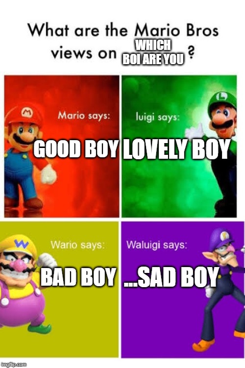 Mario Broz. Misc Views. | WHICH BOI ARE YOU; LOVELY BOY; GOOD BOY; ...SAD BOY; BAD BOY | image tagged in mario broz misc views | made w/ Imgflip meme maker