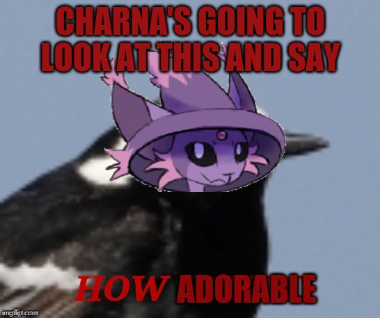 CHARNA'S GOING TO LOOK AT THIS AND SAY ADORABLE | made w/ Imgflip meme maker