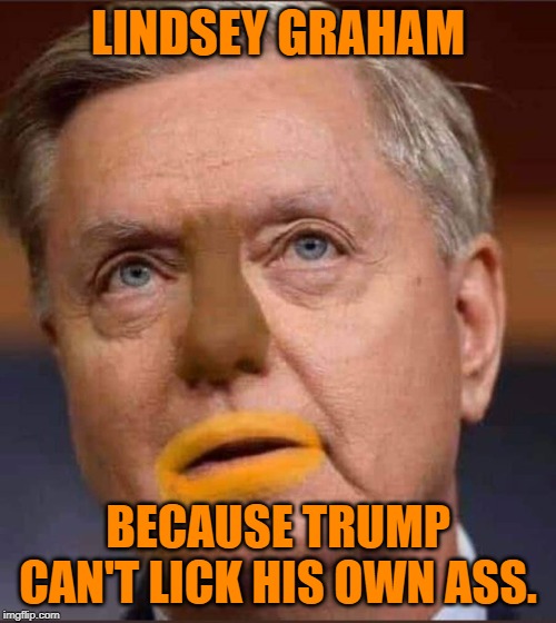 LINDSEY GRAHAM; BECAUSE TRUMP CAN'T LICK HIS OWN ASS. | made w/ Imgflip meme maker