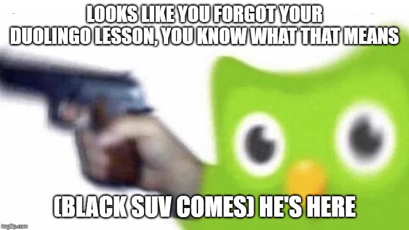 duolingo gun | LOOKS LIKE YOU FORGOT YOUR DUOLINGO LESSON, YOU KNOW WHAT THAT MEANS; (BLACK SUV COMES) HE'S HERE | image tagged in duolingo gun | made w/ Imgflip meme maker