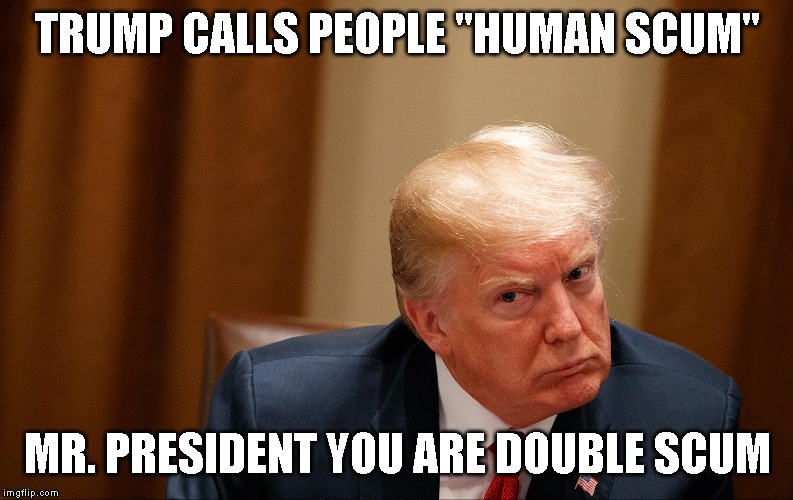 Double Down on Trump's Disgusting Immature Remarks | TRUMP CALLS PEOPLE "HUMAN SCUM"; MR. PRESIDENT YOU ARE DOUBLE SCUM | image tagged in donald trump is an idiot,trump is a moron,trump is an asshole,donald trump is an orangutan,donald trump is a douche,impeach trum | made w/ Imgflip meme maker