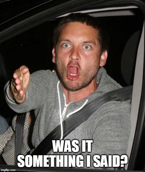 tobey maguire very upset | WAS IT SOMETHING I SAID? | image tagged in tobey maguire very upset | made w/ Imgflip meme maker