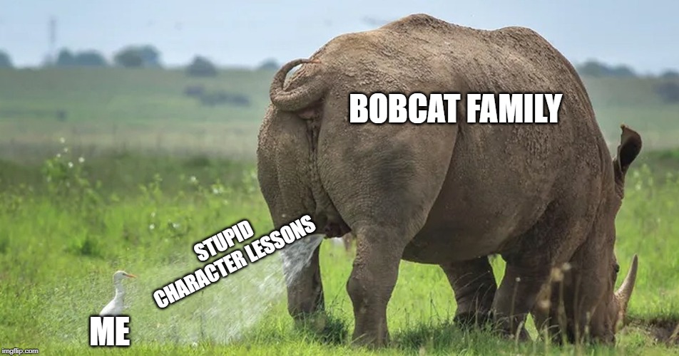 BOBCAT FAMILY; STUPID CHARACTER LESSONS; ME | made w/ Imgflip meme maker