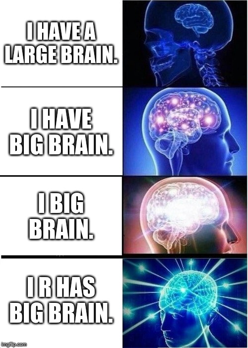 Expanding Brain | I HAVE A LARGE BRAIN. I HAVE BIG BRAIN. I BIG BRAIN. I R HAS BIG BRAIN. | image tagged in memes,expanding brain | made w/ Imgflip meme maker