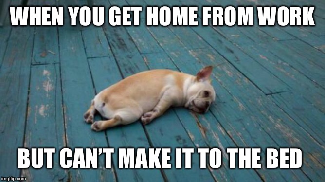 tired dog | WHEN YOU GET HOME FROM WORK; BUT CAN’T MAKE IT TO THE BED | image tagged in tired dog | made w/ Imgflip meme maker