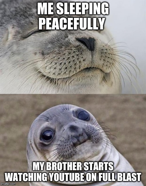 Short Satisfaction VS Truth Meme | ME SLEEPING PEACEFULLY; MY BROTHER STARTS WATCHING YOUTUBE ON FULL BLAST | image tagged in memes,short satisfaction vs truth | made w/ Imgflip meme maker