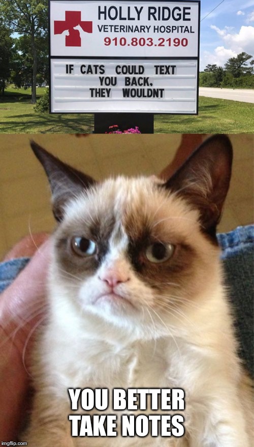 YOU BETTER TAKE NOTES | image tagged in memes,grumpy cat | made w/ Imgflip meme maker