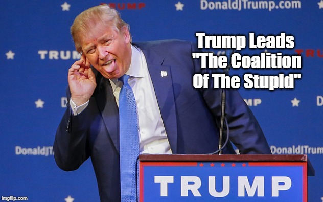 Trump Leads "The Coalition Of The Stupid" | Trump Leads 
"The Coalition Of The Stupid" | image tagged in dunning kruger hypothesis,trump,trumpistas,trump cult followers,trump dimwits,trump is an idiots idea of a genius | made w/ Imgflip meme maker