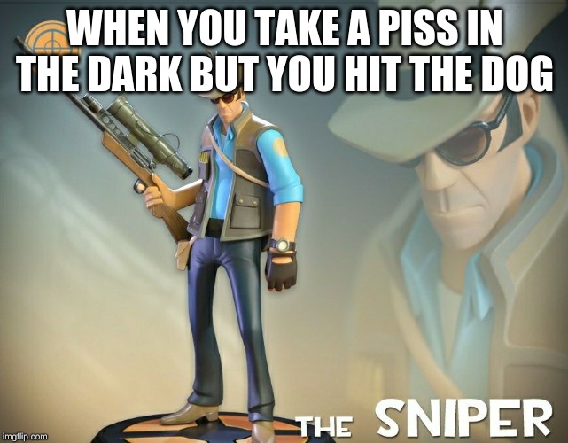 The Sniper | WHEN YOU TAKE A PISS IN THE DARK BUT YOU HIT THE DOG | image tagged in the sniper | made w/ Imgflip meme maker