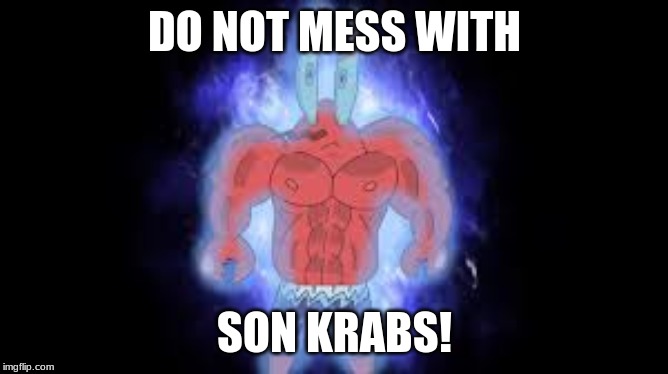 DO NOT MESS WITH; SON KRABS! | image tagged in funny memes | made w/ Imgflip meme maker