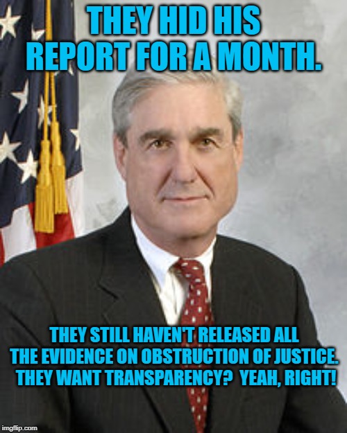 Robert Mueller | THEY HID HIS REPORT FOR A MONTH. THEY STILL HAVEN'T RELEASED ALL THE EVIDENCE ON OBSTRUCTION OF JUSTICE.  THEY WANT TRANSPARENCY?  YEAH, RIGHT! | image tagged in robert mueller | made w/ Imgflip meme maker