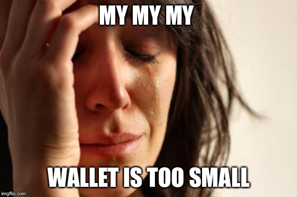 First World Problems | MY MY MY; WALLET IS TOO SMALL | image tagged in memes,first world problems | made w/ Imgflip meme maker