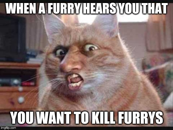 Bad Furry | WHEN A FURRY HEARS YOU THAT; YOU WANT TO KILL FURRYS | image tagged in kills,furry | made w/ Imgflip meme maker