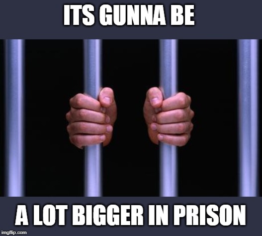 Prison Bars | ITS GUNNA BE A LOT BIGGER IN PRISON | image tagged in prison bars | made w/ Imgflip meme maker