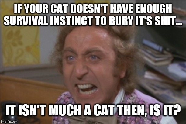 Angry Willy Wonka | IF YOUR CAT DOESN'T HAVE ENOUGH SURVIVAL INSTINCT TO BURY IT'S SHIT... IT ISN'T MUCH A CAT THEN, IS IT? | image tagged in angry willy wonka | made w/ Imgflip meme maker