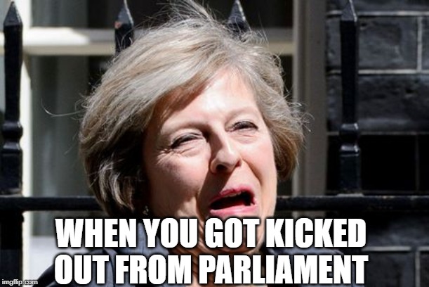 Theresa May UKIP PM Brexit | WHEN YOU GOT KICKED OUT FROM PARLIAMENT | image tagged in theresa may ukip pm brexit | made w/ Imgflip meme maker