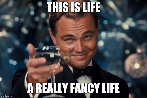 Leonardo Dicaprio Cheers | THIS IS LIFE; A REALLY FANCY LIFE | image tagged in memes,leonardo dicaprio cheers | made w/ Imgflip meme maker