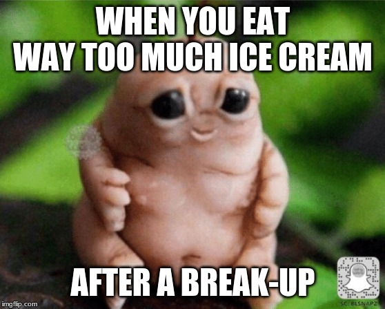 WHEN YOU EAT WAY TOO MUCH ICE CREAM; AFTER A BREAK-UP | image tagged in worms | made w/ Imgflip meme maker