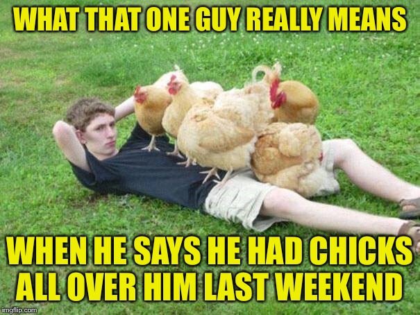 Quite the chick magnet | WHAT THAT ONE GUY REALLY MEANS; WHEN HE SAYS HE HAD CHICKS ALL OVER HIM LAST WEEKEND | image tagged in memes,funny,chickens,guy lying in grass,weird | made w/ Imgflip meme maker