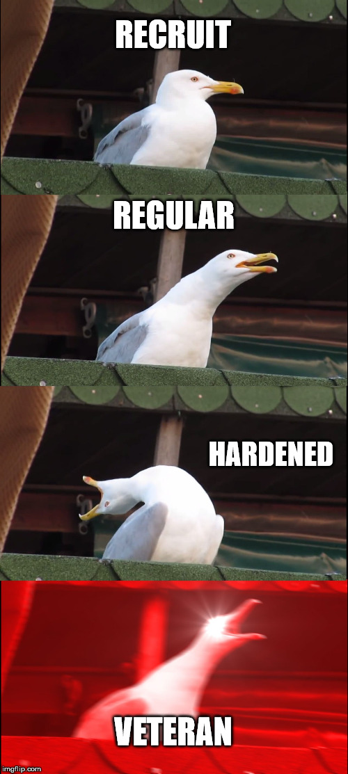 Inhaling Seagull Meme | RECRUIT; REGULAR; HARDENED; VETERAN | image tagged in memes,inhaling seagull | made w/ Imgflip meme maker