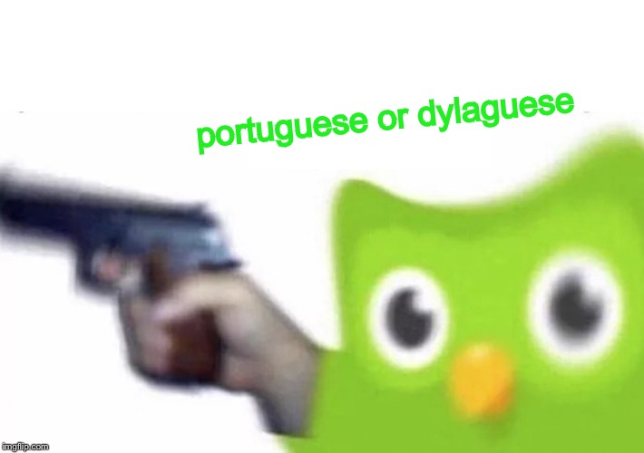 duolingo gun | portuguese or dylaguese | image tagged in duolingo gun | made w/ Imgflip meme maker