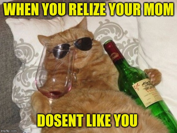 Cat with wine | WHEN YOU RELIZE YOUR MOM; DOSENT LIKE YOU | image tagged in cat with wine | made w/ Imgflip meme maker