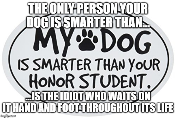 Your dog is smarter than you are, that's for certain. | THE ONLY PERSON YOUR DOG IS SMARTER THAN... ...IS THE IDIOT WHO WAITS ON IT HAND AND FOOT THROUGHOUT ITS LIFE | image tagged in dogtards | made w/ Imgflip meme maker